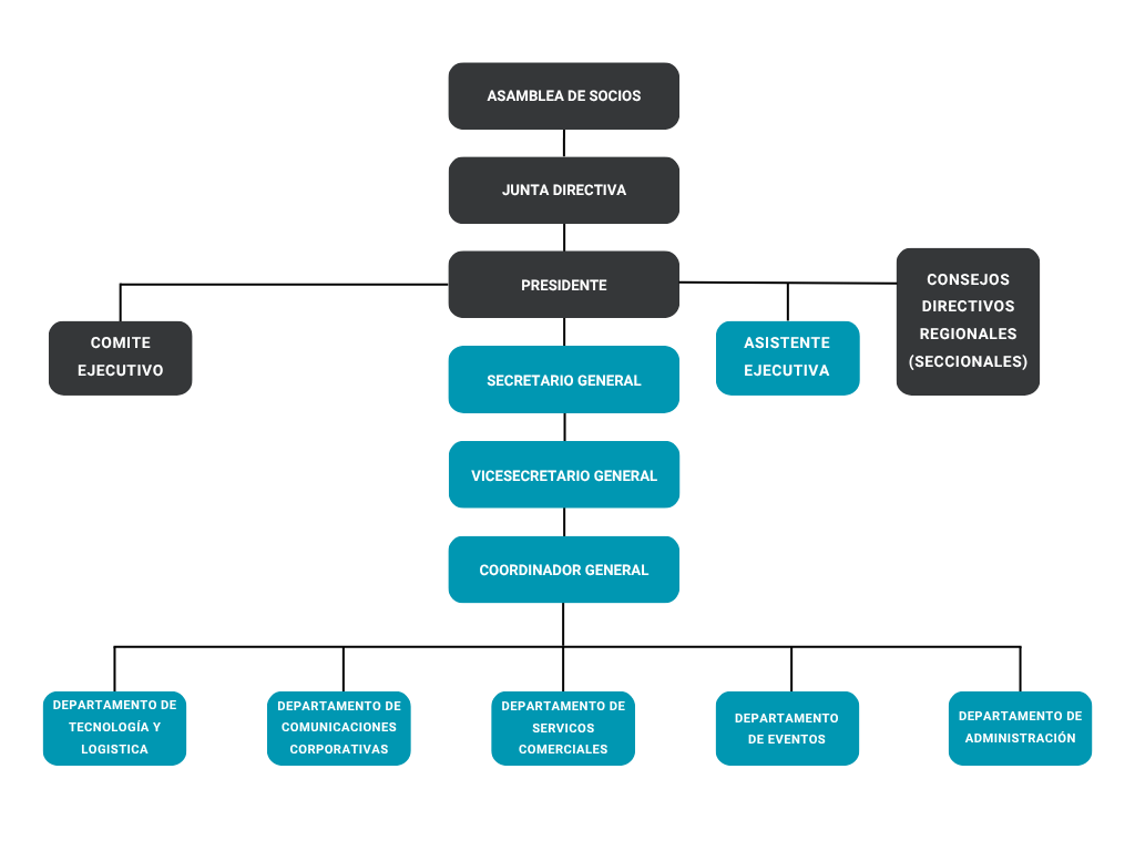 Estructura Organizativa de CAVENIT